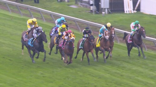 体育商业联盟管理